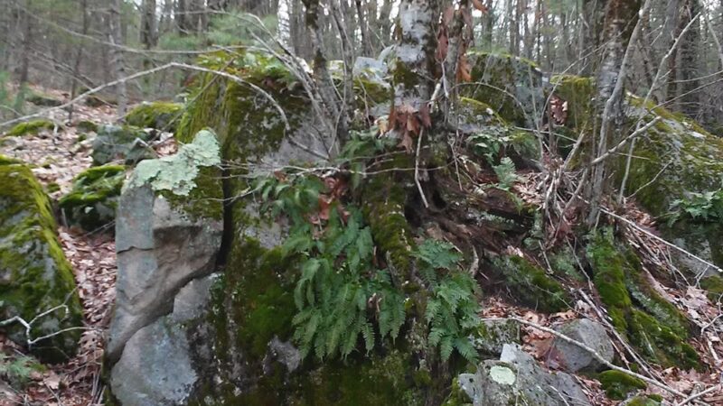 Windham Town Forest Parking - Windham, NH