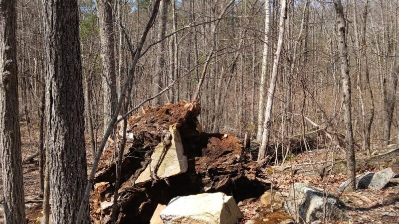 Windham Town Forest Parking - Windham, NH