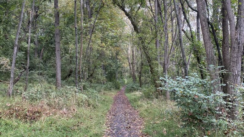 Alberton Road Trailhead - Windsor Mill, MD
