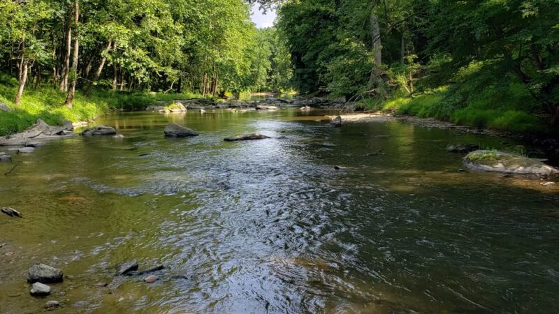 Patapsco Valley State Park - Pickall Area - Windsor Mill, MD