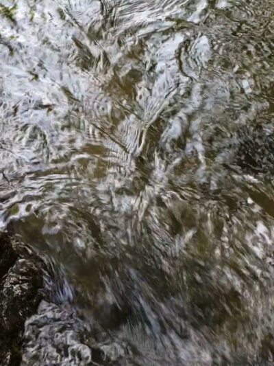 Patapsco Valley State Park - Pickall Area - Windsor Mill, MD