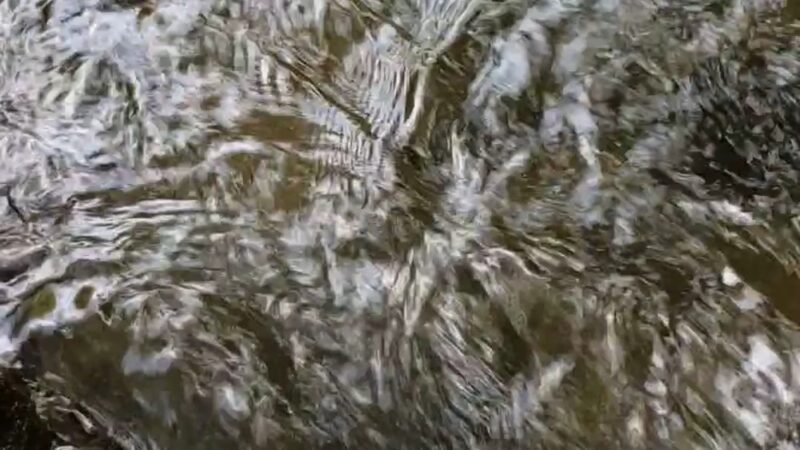 Patapsco Valley State Park - Pickall Area - Windsor Mill, MD