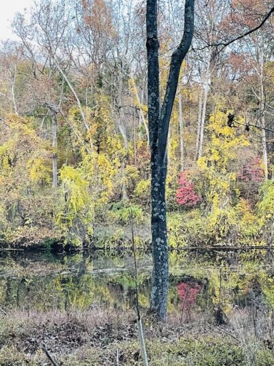 Patapsco Valley State Park - Pickall Area - Windsor Mill, MD