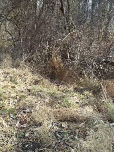 Rockdale Park - Windsor Mill, MD