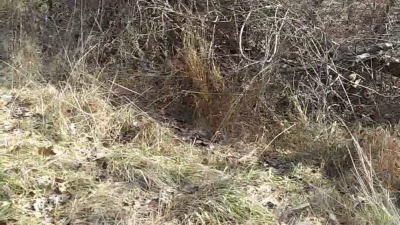 Rockdale Park - Windsor Mill, MD