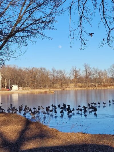 Farrington City Park - Windsor, MO