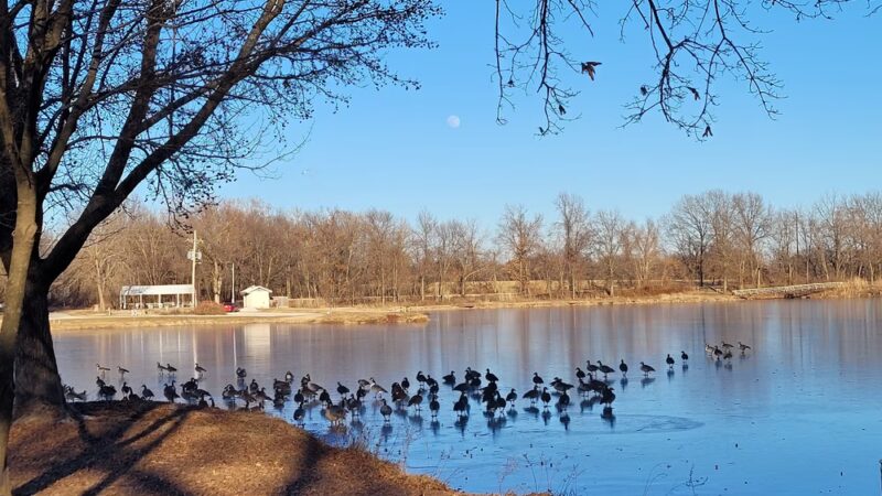 Farrington City Park - Windsor, MO