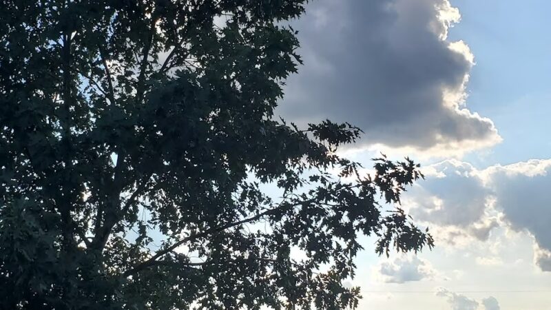 Rexroth Park - Windsor, PA