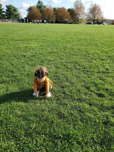 Rexroth Park - Windsor, PA