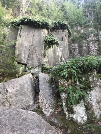Brownsville Trail Parking - Windsor, VT