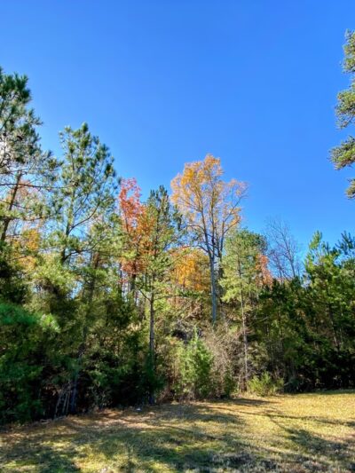 Wingate Community Park - Wingate, NC
