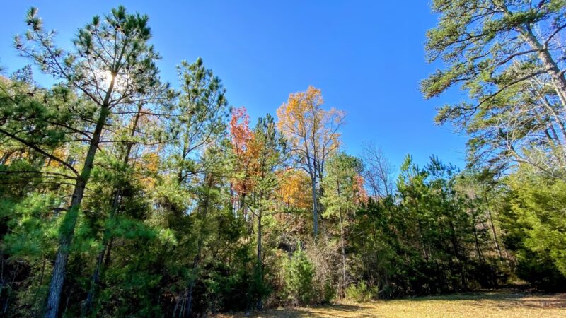 Wingate Community Park - Wingate, NC