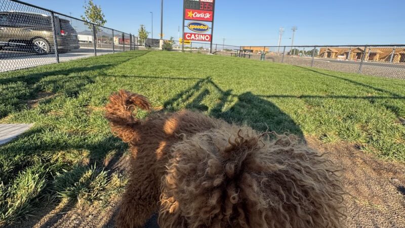 Dog Park at Love's Travel Stops - Winnemucca, NV
