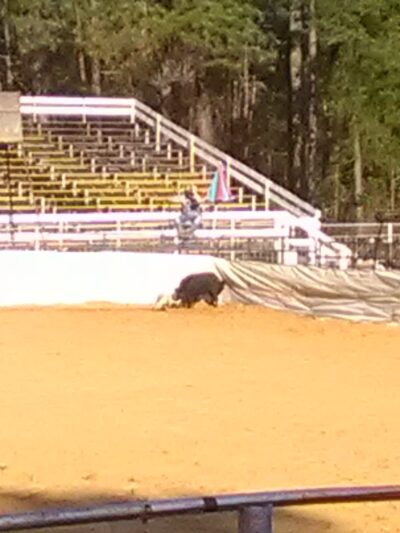 Uncle Earls Hog Bay - Winnfield, LA