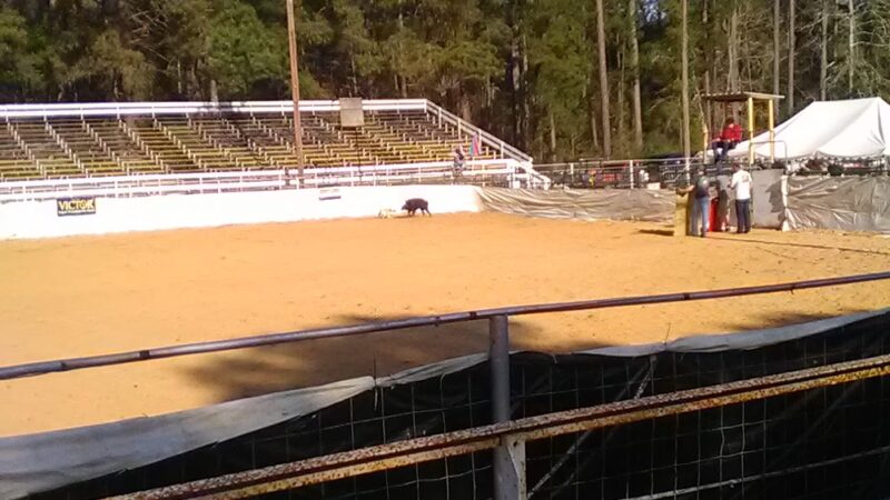 Uncle Earls Hog Bay - Winnfield, LA