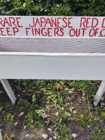 Winona Lake - Winona Lake, IN