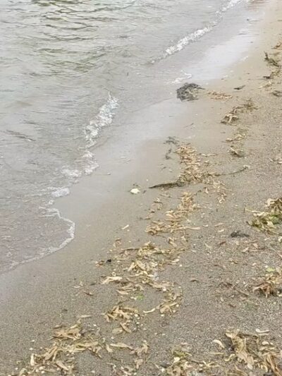 Winona Lake Limitless Park and Splash Pad - Winona Lake, IN