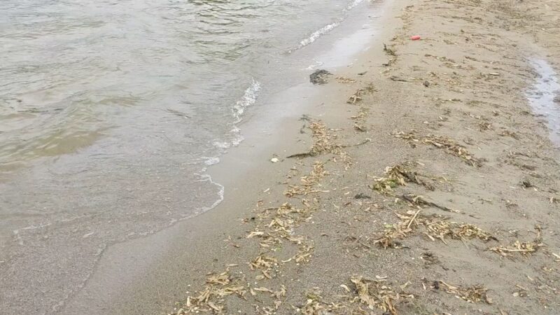 Winona Lake Limitless Park and Splash Pad - Winona Lake, IN