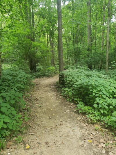 Winona Lake Trails - Winona Lake, IN