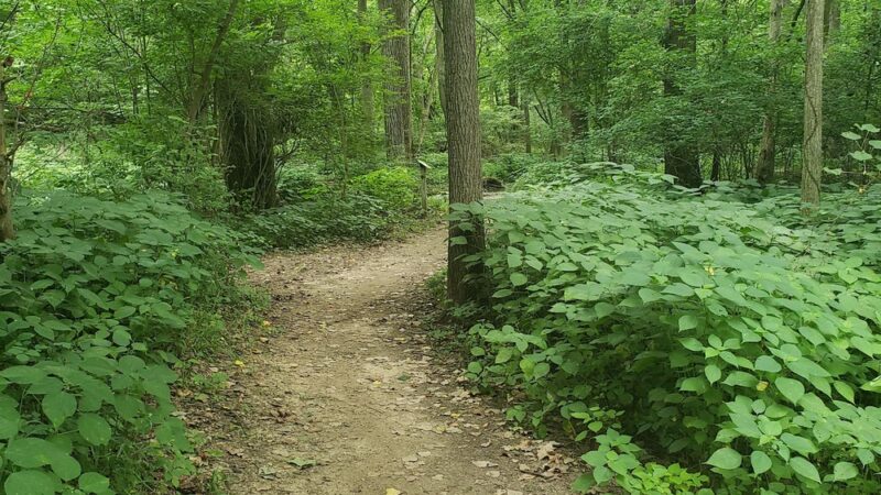Winona Lake Trails - Winona Lake, IN