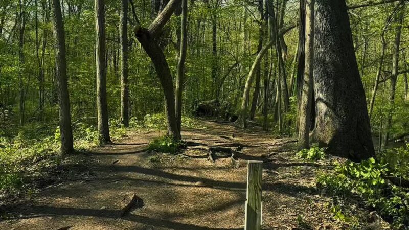 Winona Lake Trails - Winona Lake, IN