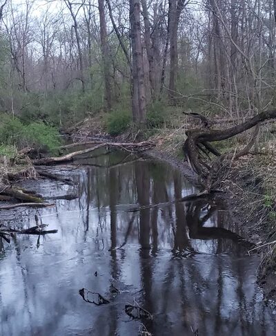 Winona Lake Trails - Winona Lake, IN