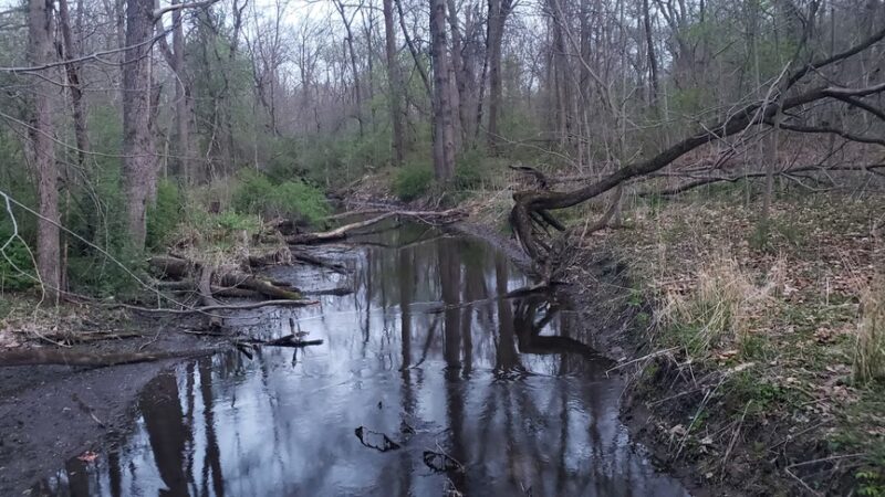 Winona Lake Trails - Winona Lake, IN