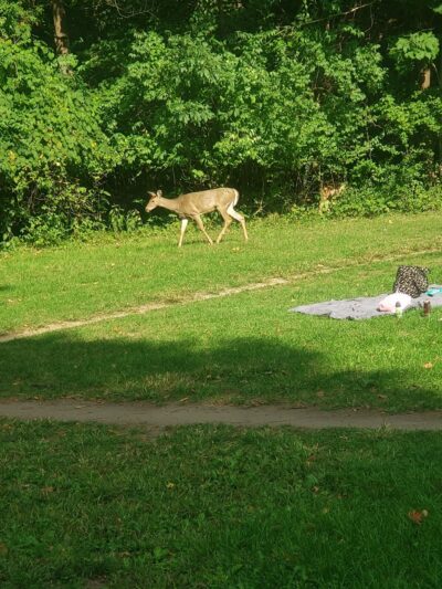 Winona Lake Trails - Winona Lake, IN