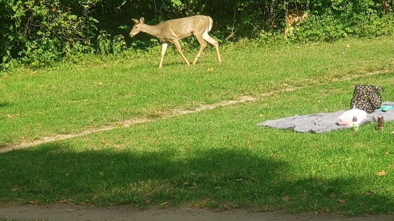 Winona Lake Trails - Winona Lake, IN