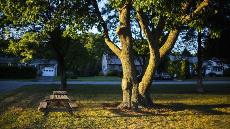 Richards Park - Winooski, VT