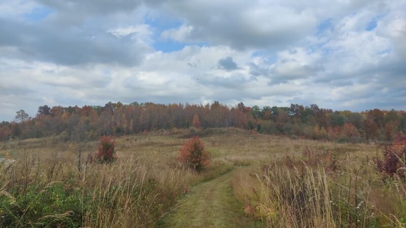 Columbia Mine Preserve - Winslow, IN