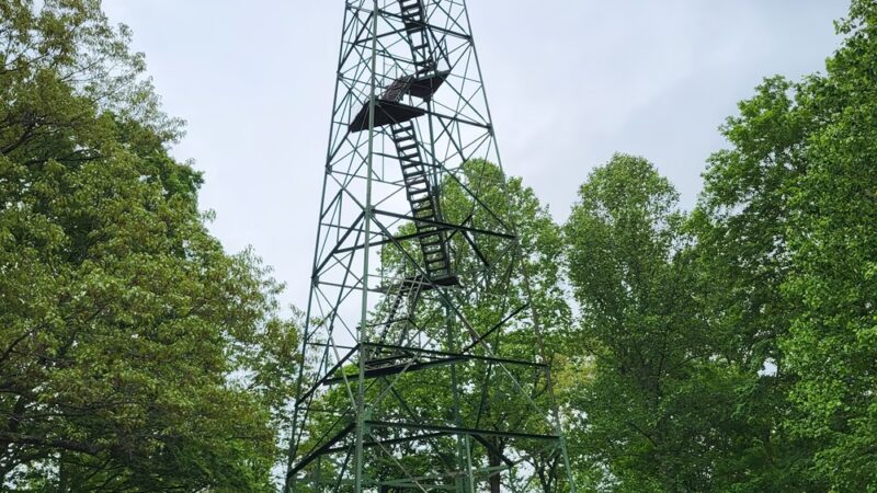 Pike State Forest - Winslow, IN