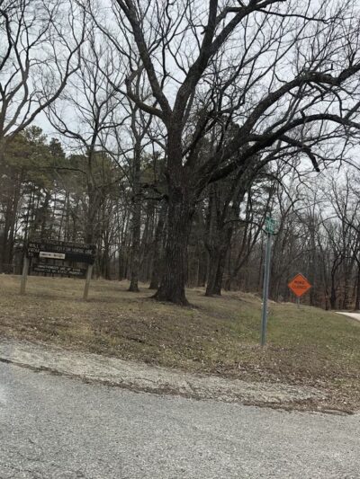 Pike State Forest - Winslow, IN