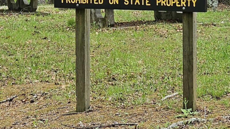 Pike State Forest Campground - Winslow, IN