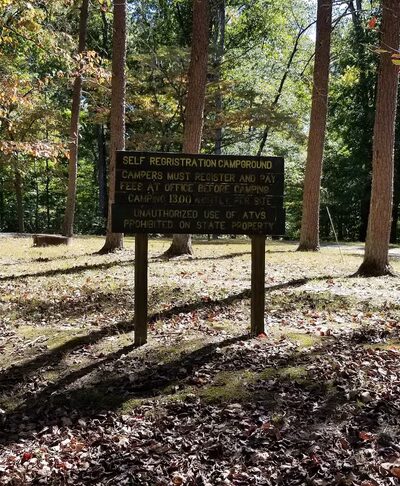 Pike State Forest Campground - Winslow, IN