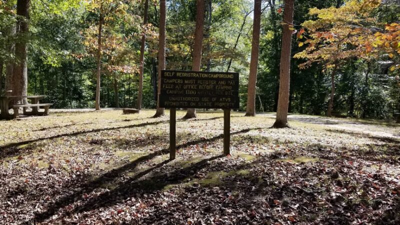 Pike State Forest Campground - Winslow, IN