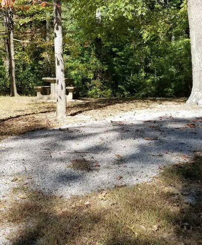 Pike State Forest Campground - Winslow, IN