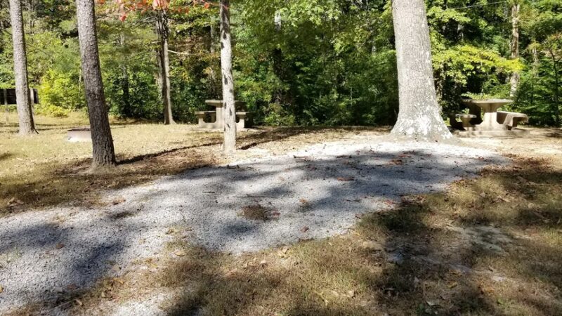 Pike State Forest Campground - Winslow, IN