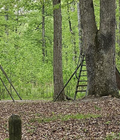 Pike State Forest Campground - Winslow, IN