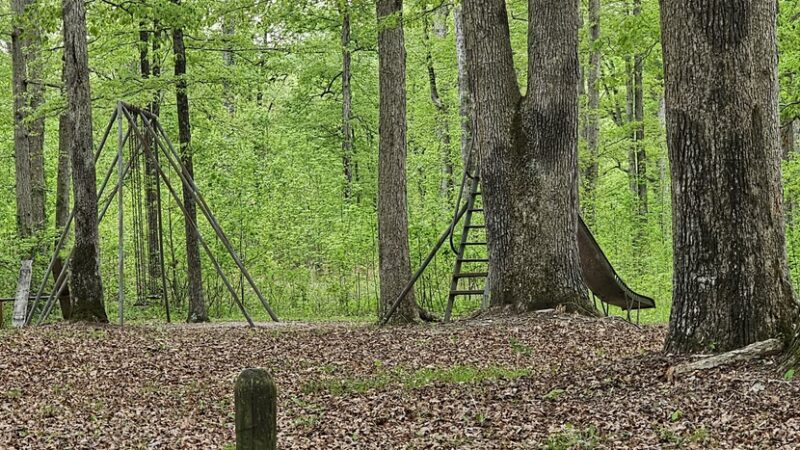 Pike State Forest Campground - Winslow, IN