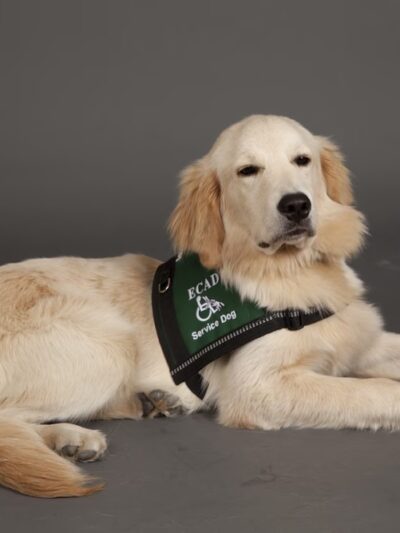 ECAD, Educated Canines Assisting with Disabilities - Winsted, CT