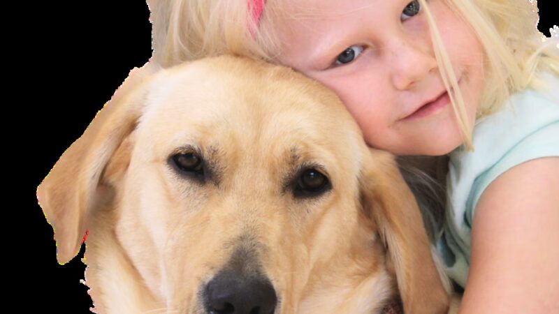 ECAD, Educated Canines Assisting with Disabilities - Winsted, CT