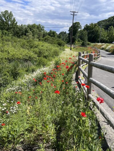 Friends of Main Street Winsted - Winsted, CT