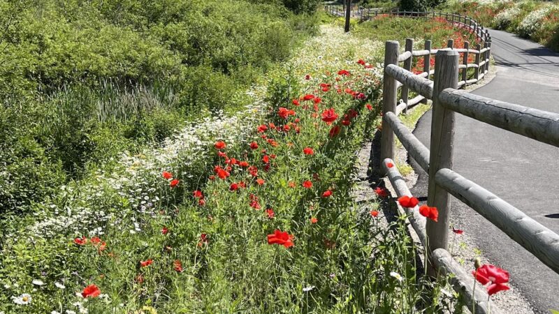 Friends of Main Street Winsted - Winsted, CT