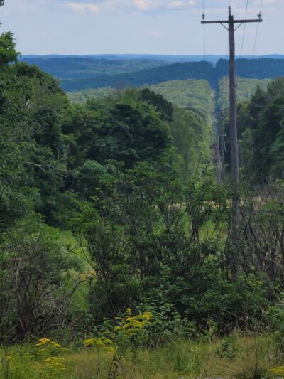 Platt Hill State Park Scenic Reserve - Winsted, CT