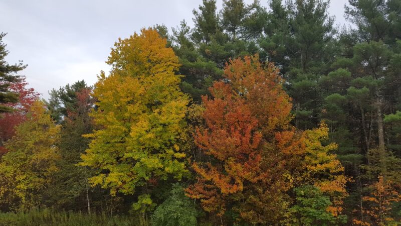Platt Hill State Park Scenic Reserve - Winsted, CT