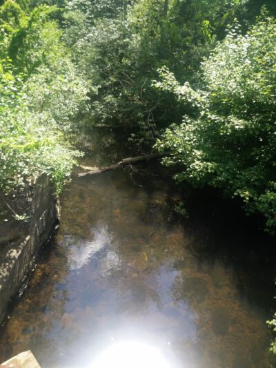Sue Grossman Still River Greenway - Winsted, CT