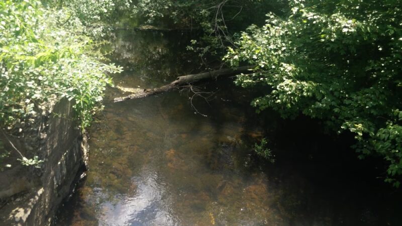 Sue Grossman Still River Greenway - Winsted, CT
