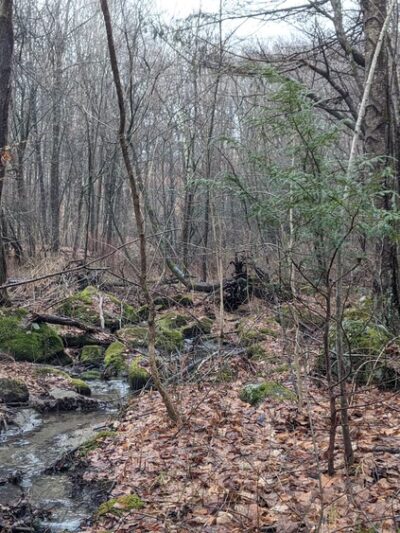 Tatro Park - Winsted, CT