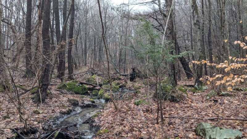 Tatro Park - Winsted, CT